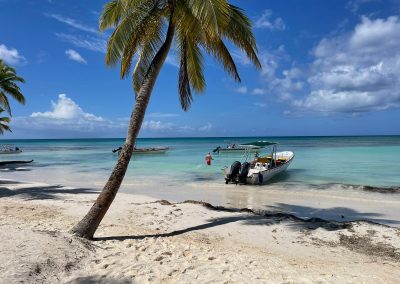 Ile Saona - Vignette Saona supreme 3